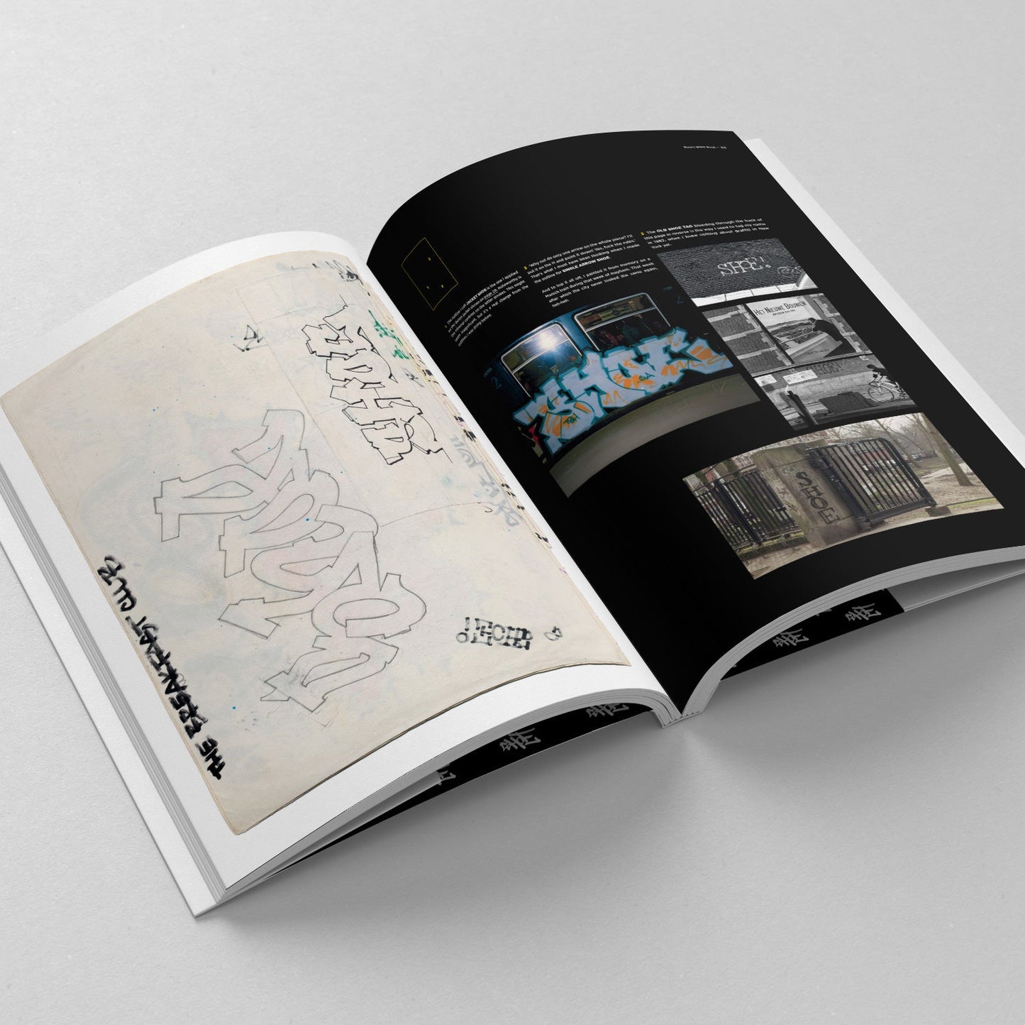 Shoe's Black Book - Graffiti in the 1980s by Niels Shoe Meulman REGULAR edition