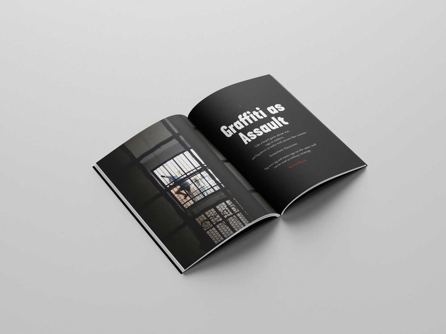 Writing Our World - Graffiti Manifesto PRE-ORDER