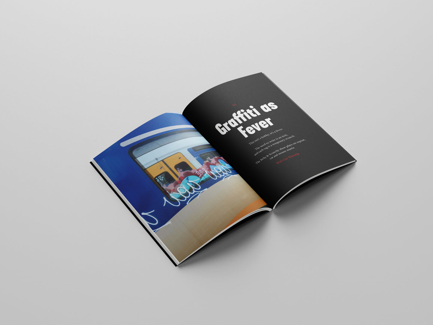 Writing Our World - Graffiti Manifesto PRE-ORDER