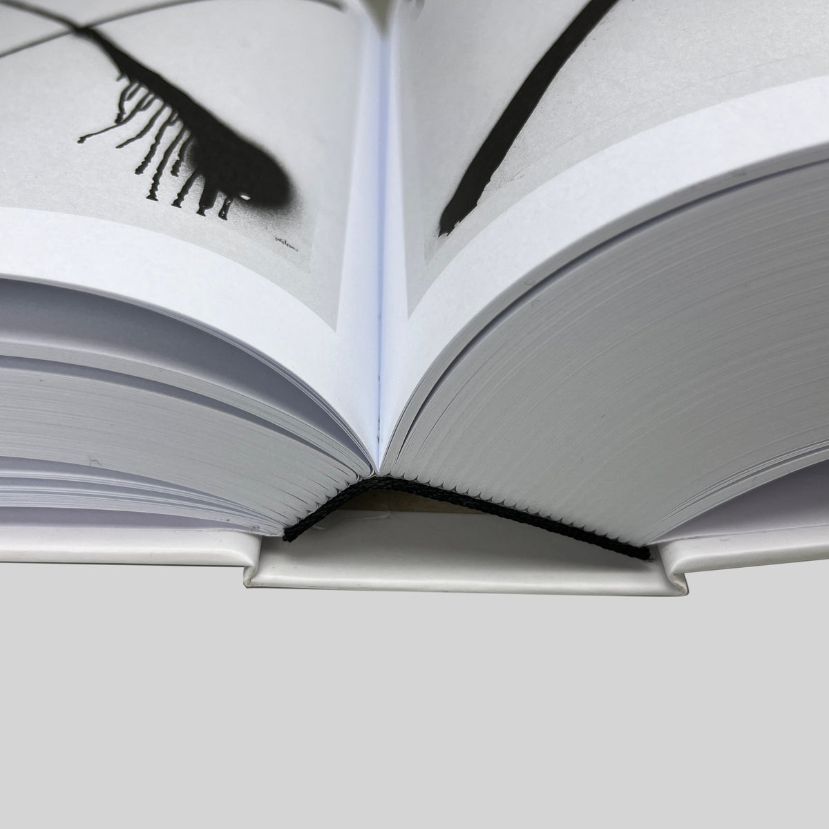 MONOMANIA, close-up of the open book showing the thickness of the pages
