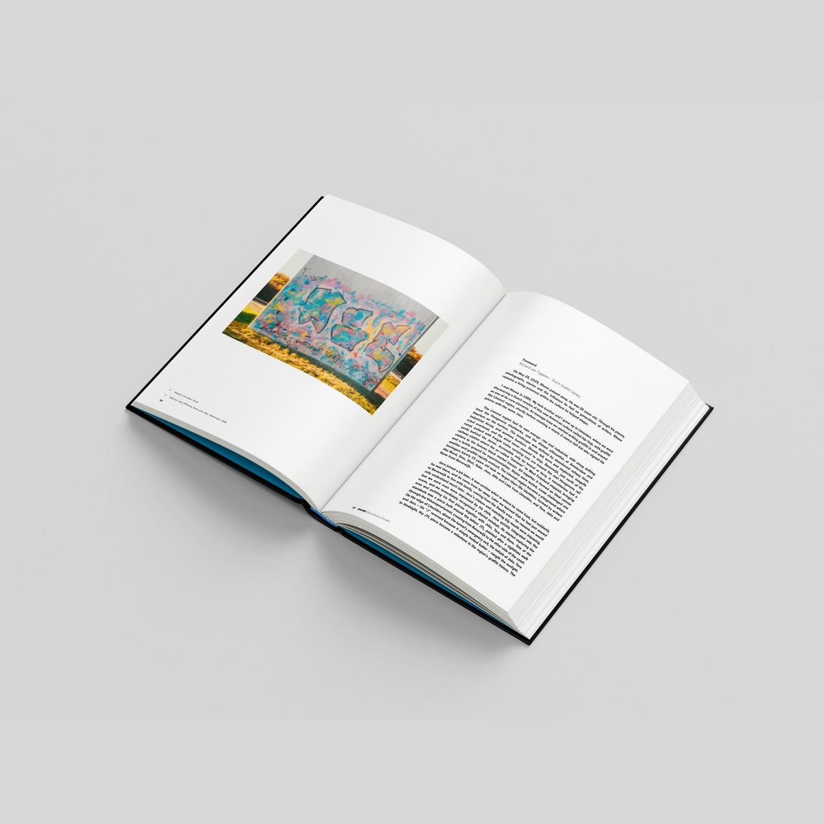 Rhone, mock-up of an open spread with a photograph of a wall piece and the foreword by Richard van Tiggelen