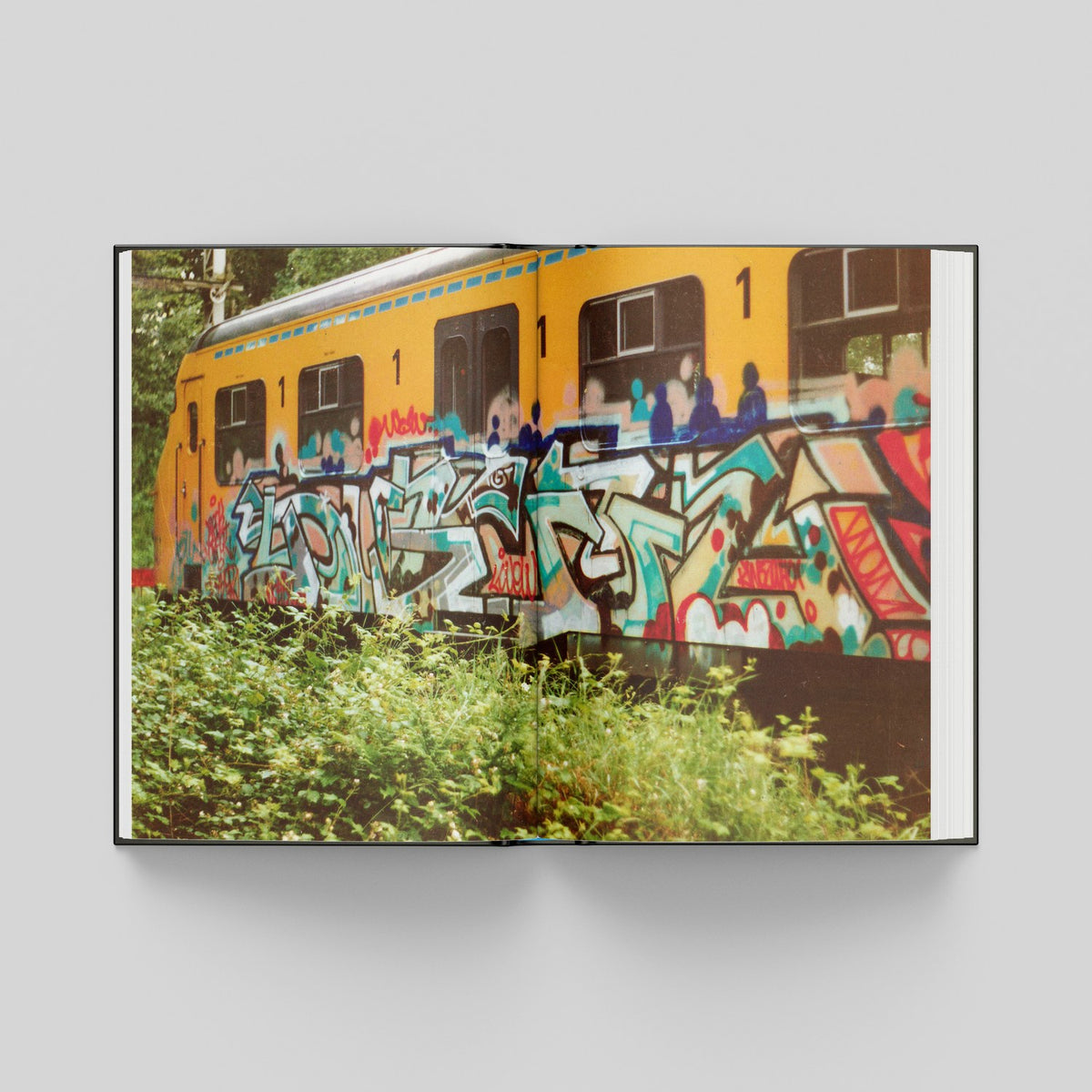 Rhone, mock-up of an open spread with a painted yellow train